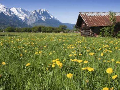 Alpenkette Garmisch-Partenkirchen Exterior foto